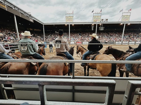 Comment les analyses de sang peuvent-elles optimiser l'entraînement des cyclistes de Tour de France?